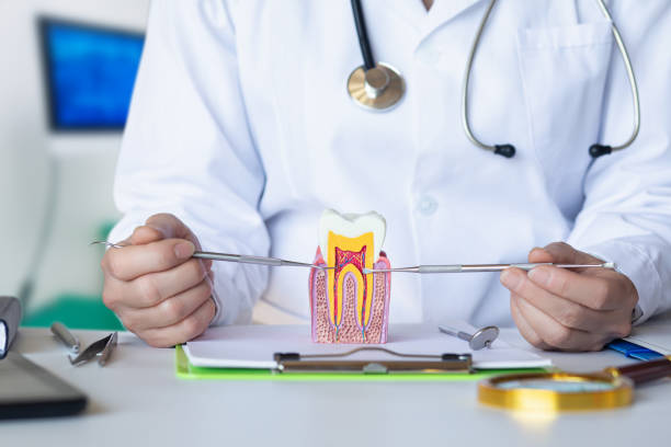 Best Broken or Cracked Tooth Emergency Dentist in Avila Beach, CA